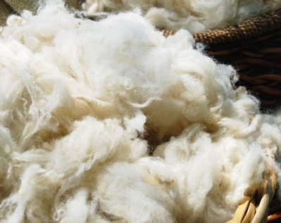Sustainable materials