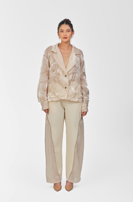 Sheer Jacket